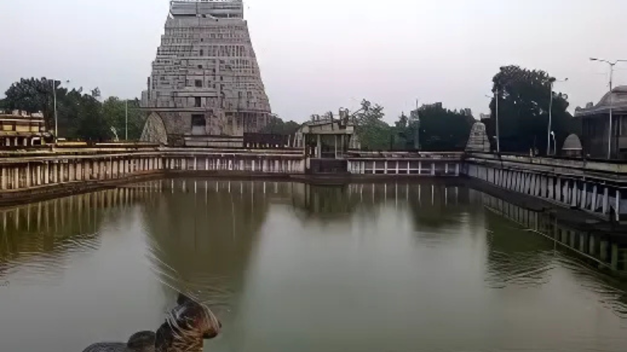 Chidambaram Temple Performance